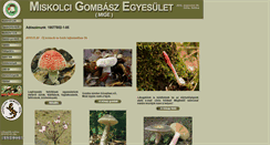 Desktop Screenshot of miskolcigombasz.hu