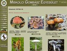 Tablet Screenshot of miskolcigombasz.hu